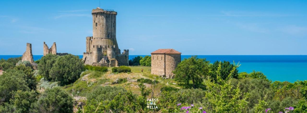 Cilento Relax San Marco Castellabate Jml Apartment San Marco di Castellabate Exterior photo